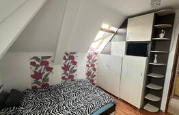 Garsoniera mobilata si utilata, 17mp, Iosia