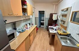 Apartament la casa, central, centrala noua gaz, la pachet cu un cires