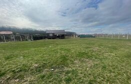 Teren cu o cabană de lemn poziționată langa Oradea la marginea unei păduri