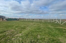 Teren cu o cabană de lemn poziționată langa Oradea la marginea unei păduri