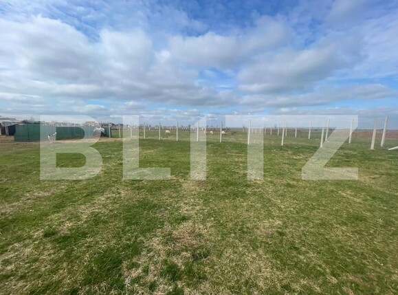 Teren de vânzare Gepiu - 151925TV | BLITZ Oradea | Poza6