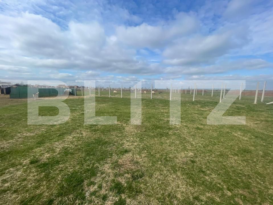 Teren de vânzare Gepiu - 151925TV | BLITZ Oradea | Poza6