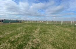 De Vânzare Teren Langa Oradea Zona Pitoreasca Aproape de Pădure 