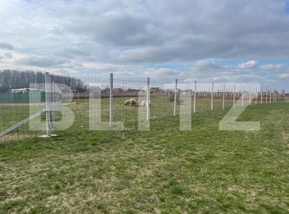 Teren de vânzare Gepiu - 151929TV | BLITZ Oradea | Poza2
