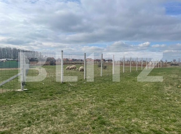 Teren de vânzare Gepiu - 151929TV | BLITZ Oradea | Poza1