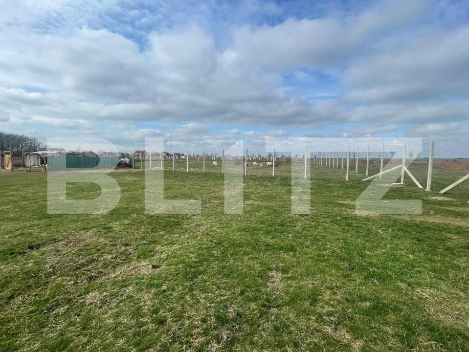 Teren de vânzare Gepiu - 151929TV | BLITZ Oradea | Poza3