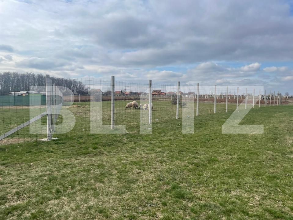 Teren de vânzare Gepiu - 151929TV | BLITZ Oradea | Poza2