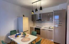 Apartament 2 camere, Nufaru