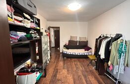 Chirie 2 dormitoare, ultracentral, ideala pentru studenti, petfriendly