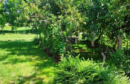 Casa renovabila situata in Sanmartin cartier Beverly Hils