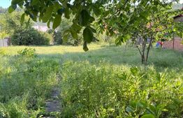 Casa 3 camere cu teren 1290mp, zona Gutenberg