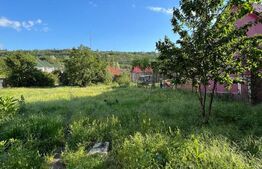 Casa 3 camere cu teren 1290mp, zona Gutenberg