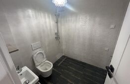 Penthouse superb de 200 mp, cu terasa de 40 mp, zona Nufarul