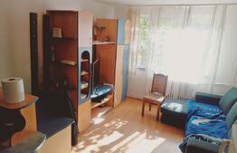 Apartament, 1 camera , zona Rogerius
