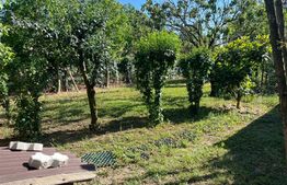 Casa superba in Oncea 155mp utili, 876mp teren