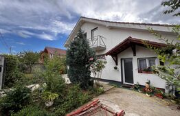 Casa 170mp, Grigorescu