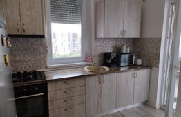 Apartament de vânzare cu 2 camere decomandat Bloc Nou 