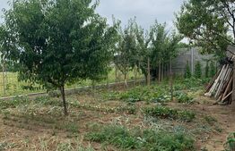 Oportunitate! Casă 180 mp utili, teren de 539 mp, în Grigorescu