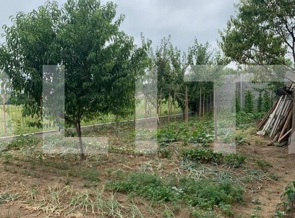 Casa de vânzare 5 camere Calea Aradului - 153087CV | BLITZ Oradea | Poza5