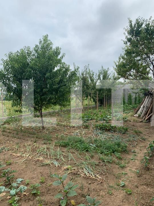 Casa de vânzare 5 camere Calea Aradului - 153087CV | BLITZ Oradea | Poza5