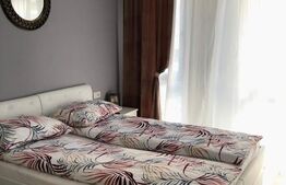 Apartament de 2 camere, 42 mp, cartier Universitatii