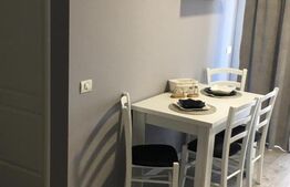 Apartament de 2 camere, 42 mp, cartier Universitatii