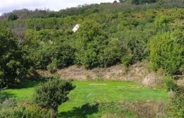 TEREN INTRAVILAN - 1200 în Oradea in zona Făclia 