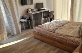 Oportunitate! Casa 4 camere, 300 mp, cartierul Grigorescu