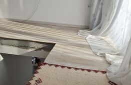 Oportunitate! Casa 4 camere, 300 mp, cartierul Grigorescu