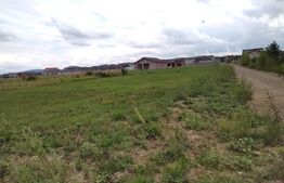 Teren 1038 m2  pe ciheului de vanzare