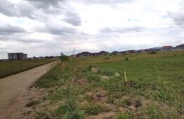 Teren 1038 m2  pe ciheului de vanzare