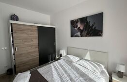 Apartament de doua camere Prima Nufarul