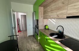 Apartament de doua camere Prima Nufarul