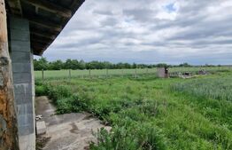 Casa la rosu in Miersig, langa padure, 4599mp teren