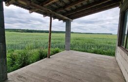 Casa la rosu in Miersig, langa padure, 4599mp teren