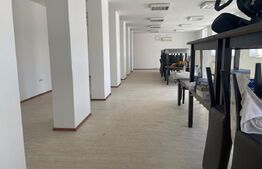 Oportunitate Hale industriale și clădiri de birouri de vanzare 