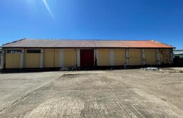 Oportunitate Hale industriale și clădiri de birouri de vanzare 