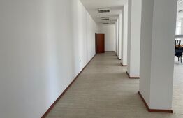 Oportunitate Hale industriale și clădiri de birouri de vanzare 