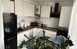 Apartament in Grigorescu, 250 mp, teren aferent apartamentului