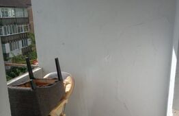 Apartament cu o camera, Nufaru