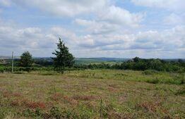 2 terenuri intravilane,total 166 mp, cu dublu front,spre padure