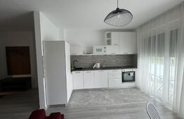 Apartament 2 camere - Grand Hill Nufarul