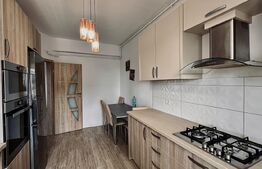 Chirie in Luceafarul- Decebal, 2 camere,  vedere panoramica