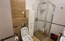 Chirie in Luceafarul- Decebal, 2 camere,  vedere panoramica