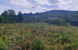 Teren intravilan cu dublu front stradal in Podgoria 