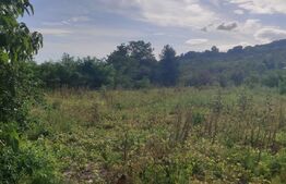 Teren intravilan cu dublu front stradal in Podgoria 