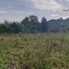 Teren de vânzare Podgoria - 154788TV - Poza 1 din 4 | BLITZ Oradea | Poza4