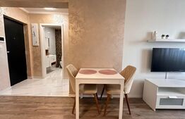 Apartament 2 camere, 51mp, Calea Borsului 