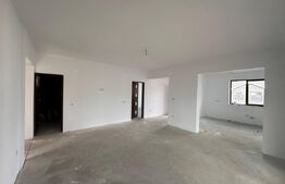 Casa de vanzare,Placa de beton