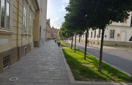 Apartament renovat complet situat in zona ultracentrala in cladire istorica